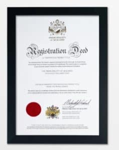 Conviértase en Conde o Condesa